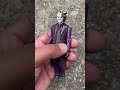 BATMAN THE JOKER PUNCH PACKING HEATH LEDGER (THE DARK KNIGHT ) ACTION FIGURE “RARE-VINTAGE” (2008)