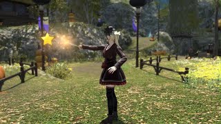 FF14 GRANSEEDS エモート：守護天節のおまじない