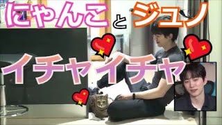 2PM ジュノと猫♡