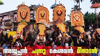 ആറങ്ങോട്ടുകര കൂട്ടിഎഴുന്നള്ളിപ്പ് 🔥🤩 | Arangottukara Pooram Kootti Ezhunnallippu | Mullakkal Pooram