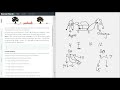 Solving hackerrank problem 