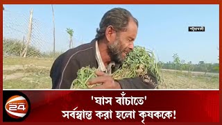 'ঘাস বাঁচাতে' সর্বস্বান্ত করা হলো কৃষককে! | Channel 24