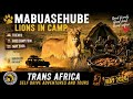 Lions in Camp, camp food and good times in Mabuasehube 