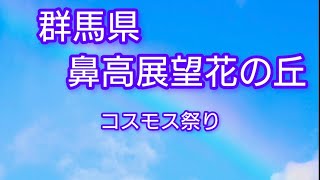 群馬県 鼻高展望花の丘「コスモス祭り」