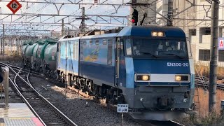 【ジョイント音最高！】JR貨物EH200形20号機＋タキ13B（両）が立川駅4番線に到着停車するシーン（臨8092レ・高A225・石油返空）2024.12.7