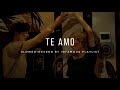 Te Amo Duet [Slowed+Reverb] - Ash King & Sunidhi Chauhan | Infamous Playlist