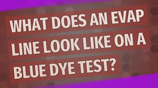 What does an EVAP line look like on a blue dye test?