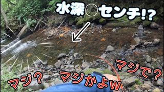 激浅のチョロ川で衝撃バイト! ブラウントラウト良型連発【北海道 釣り】