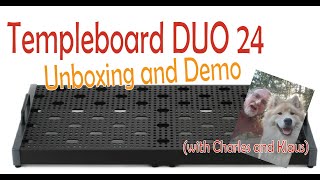 Temple Audio DUO 24 Templeboard (Gunmetal) // Unboxing and Setup by Charles (and Klaus)