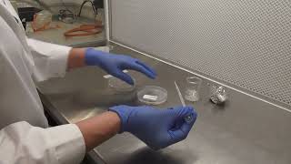 Subculturing amoebae using wash method