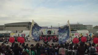 2016 12 4  岐聖祭　名古屋学生チーム『鯱』