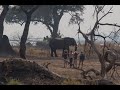 Dedicated Support for Elephants and their Rangelands: The ZEF TRANS-ZAMBEZI WALK FOR WILD