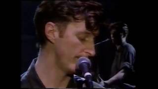 Billy Bragg - Tank Park Salute (Live)