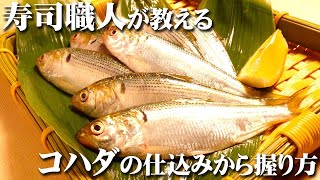 【コハダ 寿司の仕込み】旨味が深い白身の鰶コハダを寿司職人が握る How to make gizaard shad sushi