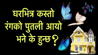 घरभित्र कस्तो रंगको पुतली आयो भने के हुन्छ ?Putali Luck unluck