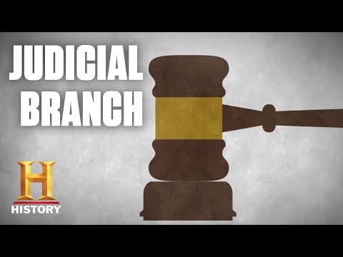 What does the judicial branch do for healthcare?