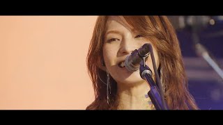 SCANDAL - Aitai「会いたい」(Live 10th Anniversary Festival \