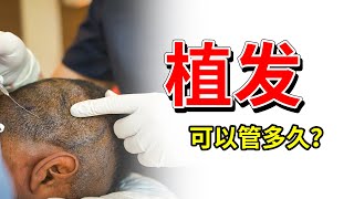 【植发科普】植发效果可以管多久？和后枕一样，不容易脱落！雍禾植发|陶彦君医师