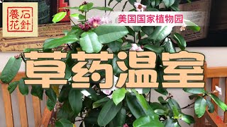 草药温室 - 美国国家植物园