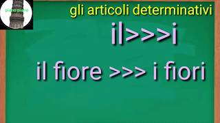 تعرف علي ادوات المعرفة فى اللغة الايطالية gli articoli determinativi