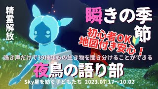 【Sky星を紡ぐ子どもたち】瞬きの季節「夜鳥の語り部」精霊解放【場所/方法/やり方/地図付き】