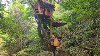 A young girl is lost in the deep woods. She is surprised to find an abandoned tree house.