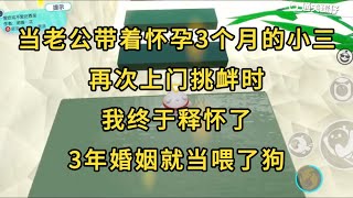 【現代言情】當老公帶著懷孕3個月的小三，再次上門挑釁時，我終於釋懷了，3年婚姻就當餵了狗 #一口氣看完 #小說 #故事 #都市