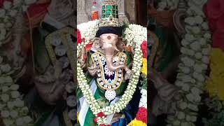 Thanjavur big temple chithirai thiruvila |தஞ்சாவூர் பெரியகோவில் சித்திரை திருவிழா |ponniyin Selvan|