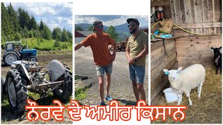 ਭੇਡਾਂ ਦੇ ਲਾਇਆ  GPS System🐏🇳🇴Nanu Norway