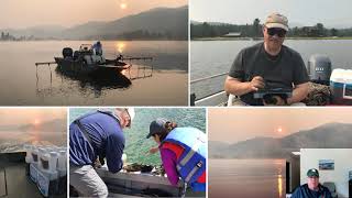 Using Procellacor in the Pacific Northwest to manage Eurasian Milfoil