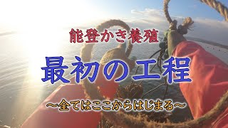 【能登かき養殖】いちばん最初の仕事