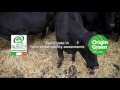 Find out more about the benefits of being part of Origin Green through SBLAS