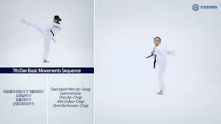 7th Dan Basic Movements Sequence 1