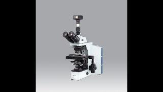 Dewinter Trinocular Research Microscope (Upgradable To Fluorescence) Model: Optima