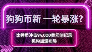 狗狗币 doge币 比特币 BTC 最新行情走势分析，比特币冲击94,000美元创纪录，机构加速布局，马斯克是否将引爆狗狗币新一轮暴涨？