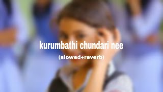 kurumbathi chundari nee|slowed+reverb|Anmariya kalippilanu