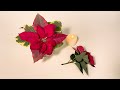 Poinsettia Care and Handling