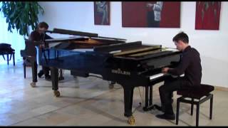 Lukas Katter \u0026 Nicolas Vollmuth - W.A. Mozart Sonate D-Dur KV 448: 1. Satz