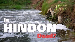 How did the Hindon river pollution cause public healthcare crisis? | DTE DOCS