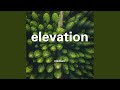 Elevation