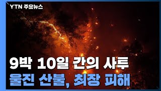 울진 산불 9박10일간의 사투...'최장기·최대 피해' / YTN