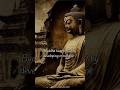 The Buddha's Wisdom How to Control Your Desires #shorts #youtubeshorts #bhuddha