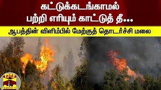 கட்டுக்கடங்காமல் பற்றி எரியும் காட்டுத் தீ... ஆபத்தின் விளிம்பில் மேற்குத் தொடர்ச்சி மலை