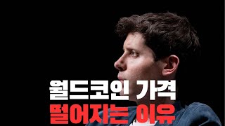 월드코인 가격 떨어지는 이유