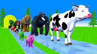 Paint \u0026 Animals Cow,Tiger, Gozilla, T rex, Bear Fountain Crossing Transformation Cartoon #2025