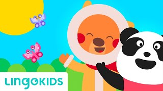 Hello Hello Song - English for Kids & Toddlers | Lingokids