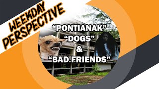 #5 Scolding Pontianak \u0026 Fighting dogs - WEEKDAY PERSPECTIVE