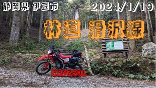 静岡県伊豆市 林道 滑沢線 CRF250L