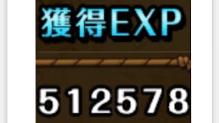 OPTC  トレクル　海賊レベル還元祭 Ver.3 経験値51万 高速周回