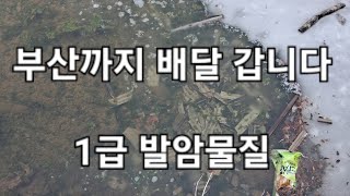 석면 폐기물 현재상태 얼음에 꽁꽁 녹조와 함께 콜라보 임하댐 상류 낙동강 수계지역 식수원 관리구역 1급 발암 물질인 석면 부산까지 배달 갑니다 환경오염 수질오염